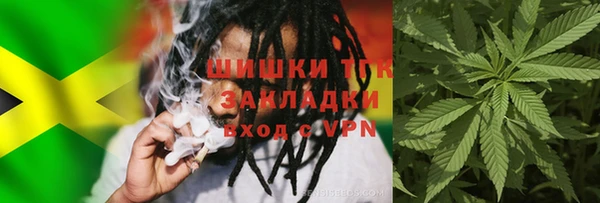 гашик Аркадак