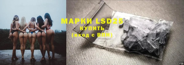 гашик Аркадак