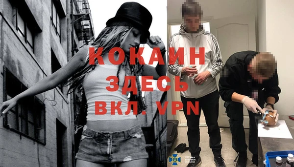 гашик Аркадак