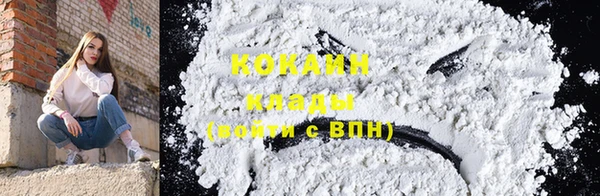 гашик Аркадак