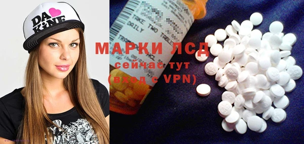 гашик Аркадак