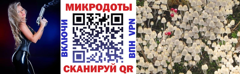 Галлюциногенные грибы ЛСД  OMG сайт  Иннополис 